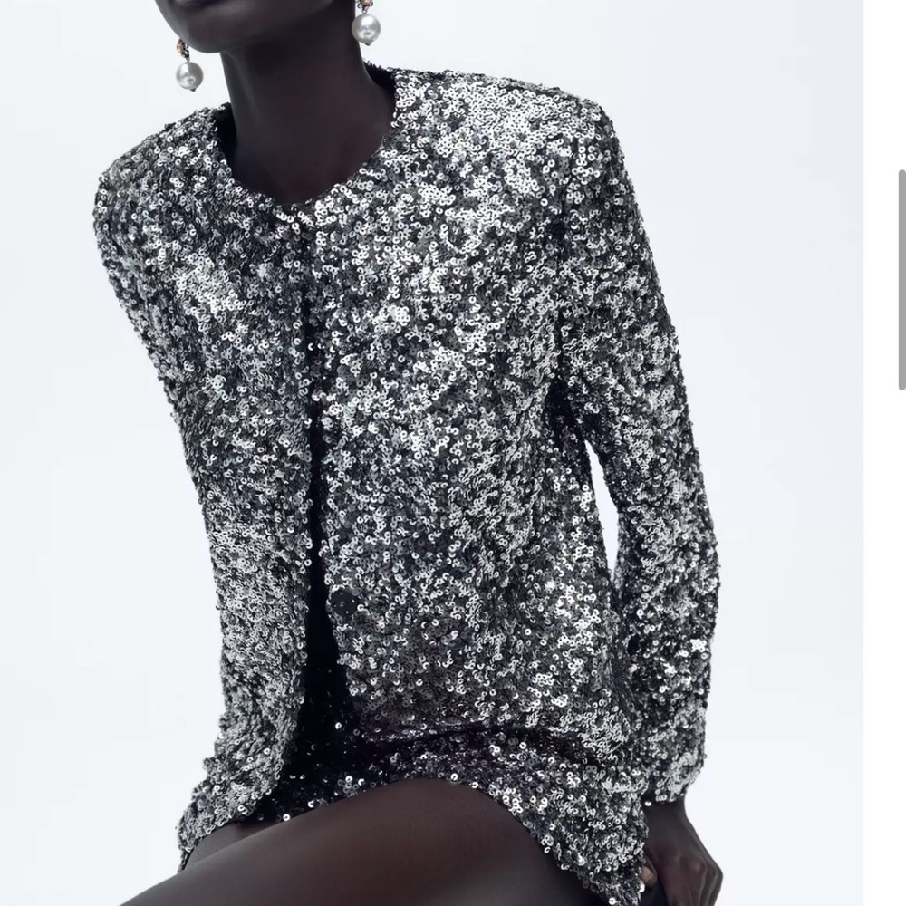 Zara Silver Sequin Blazer